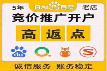 百度竞价关键词选择策略及成功案例分析